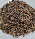 MARIENDISTEL - Samen - Lose Kräuter