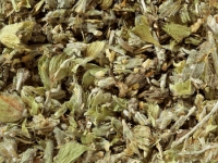 GRIECHISCHER BERGTEE - grob geschnitten - Lose Kräuter