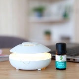 Konzentration - Duftmischung - 5ml