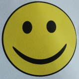 Matcha Frappé Eis Shake (vegan) - Rezept