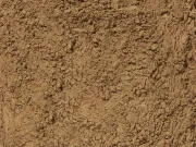 HOJICHA POWDER - grüner Tee - Japan